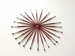 [980129] PINCELES