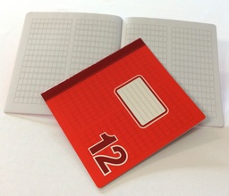 [990026] CUADERNO #12 RAYADO ESPECIAL